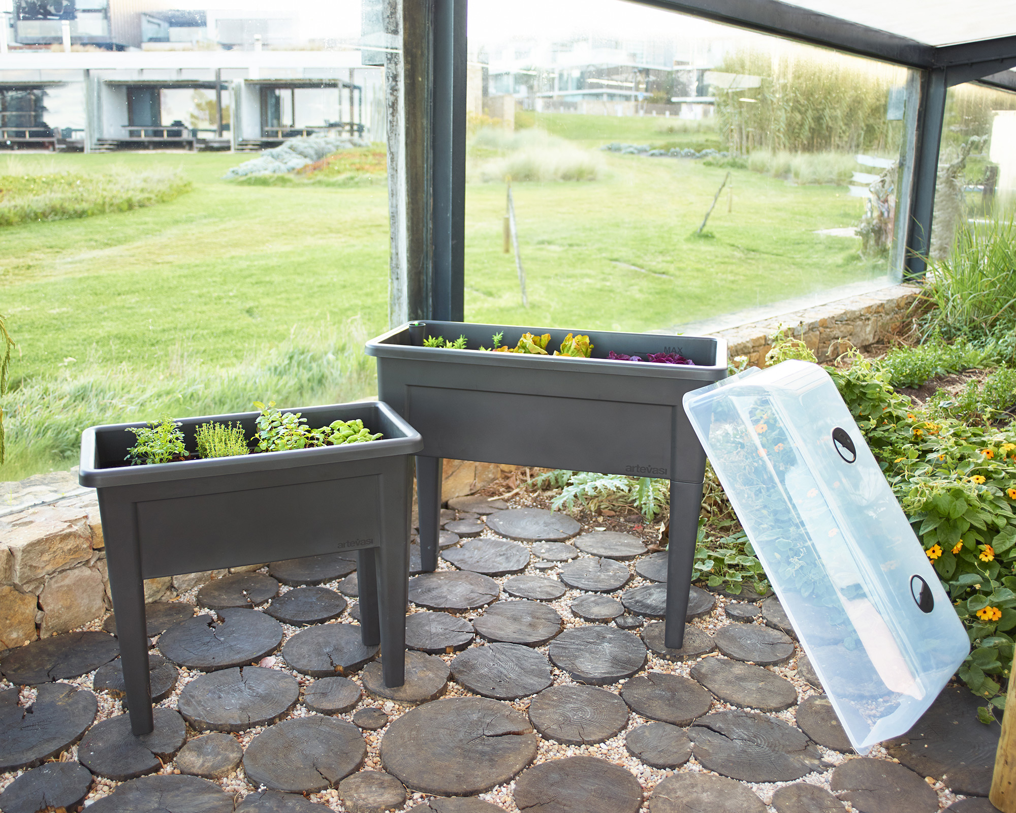 Autumn vegetable garden with A Tripeirinha