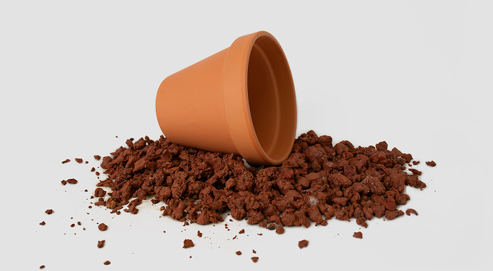 Um <i>legado</i> da Terra