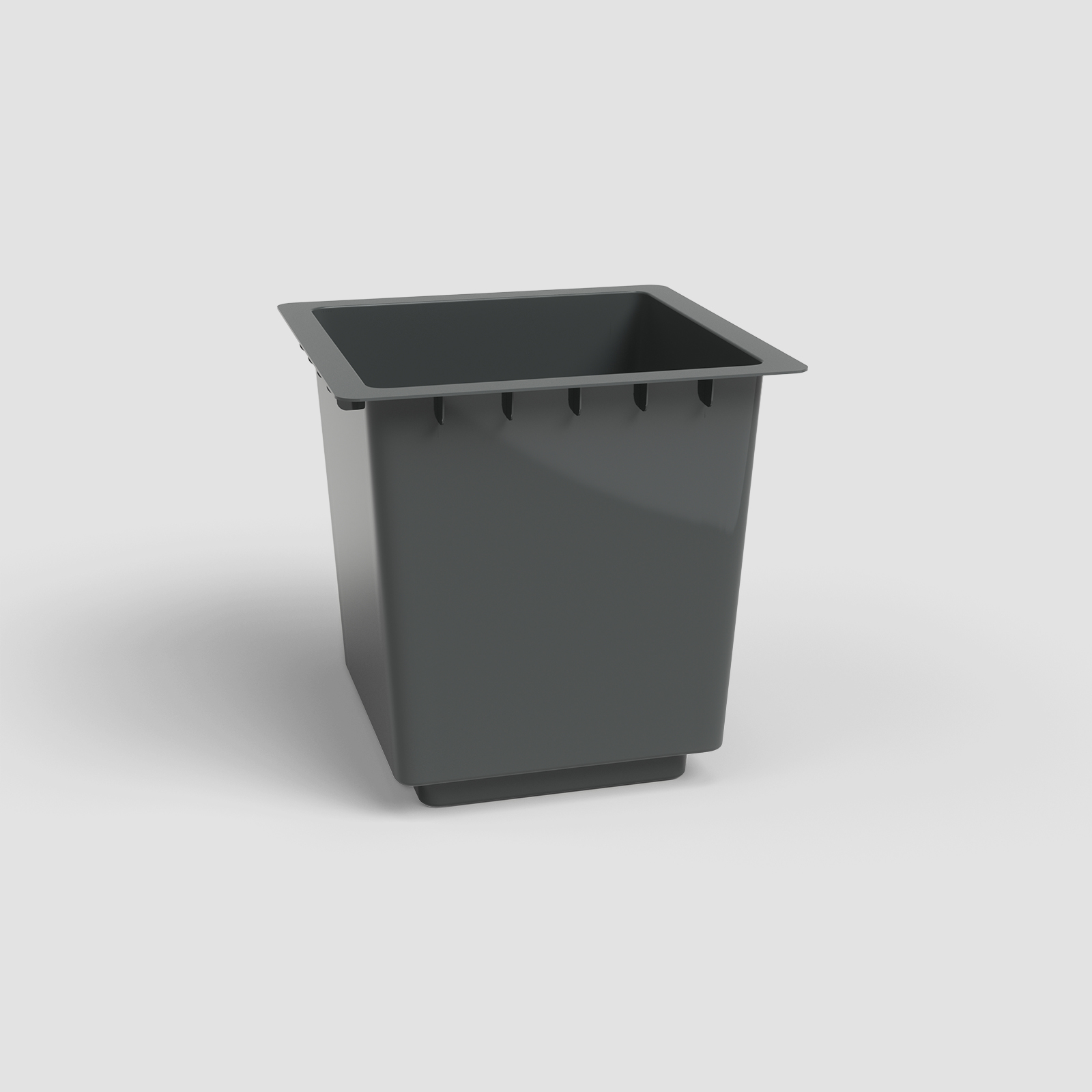 Pisa Insert