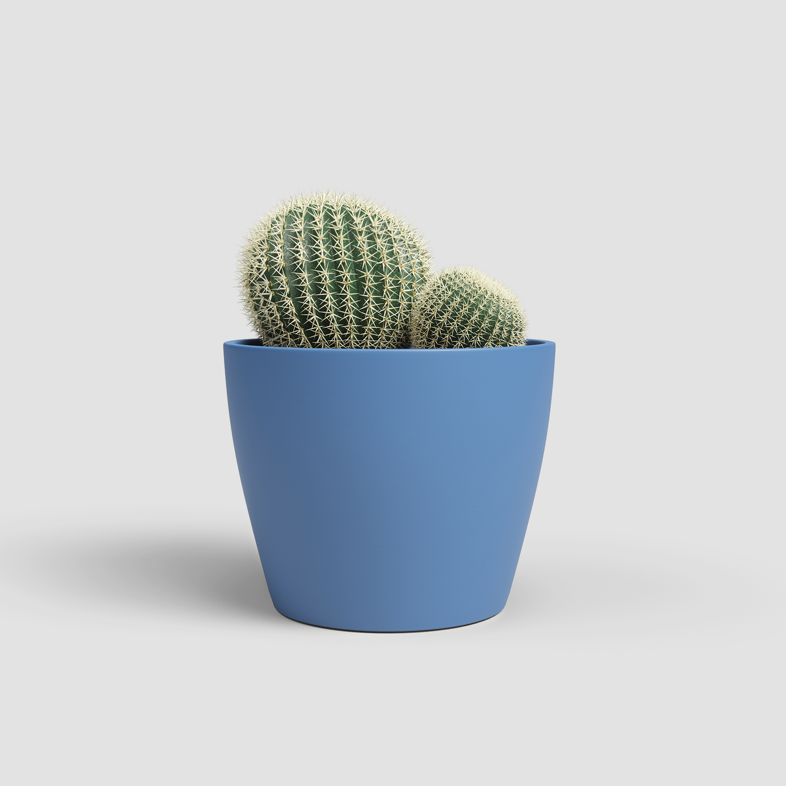 Vaso Nubia Cactus